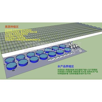 新型温室大棚鱼菜共生 工厂化循环种植与水产品养殖的平面设计方案